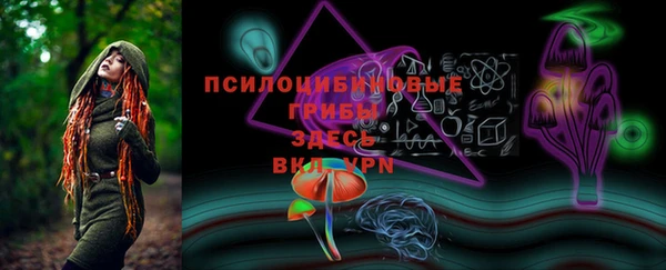 эйфоретик Новокубанск
