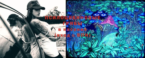 круглые Новодвинск