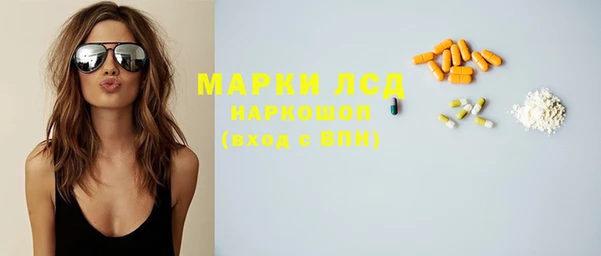 a pvp Новозыбков