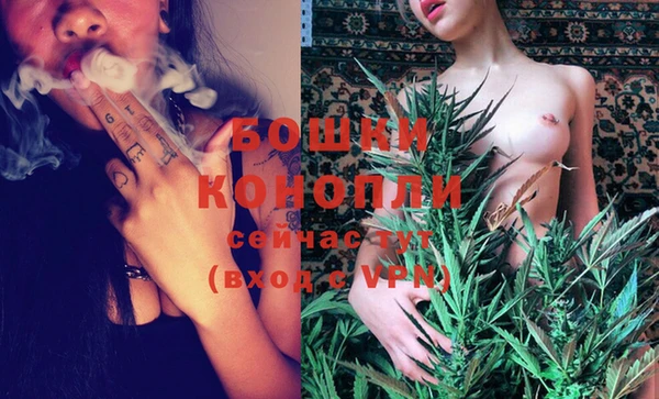 a pvp Новозыбков