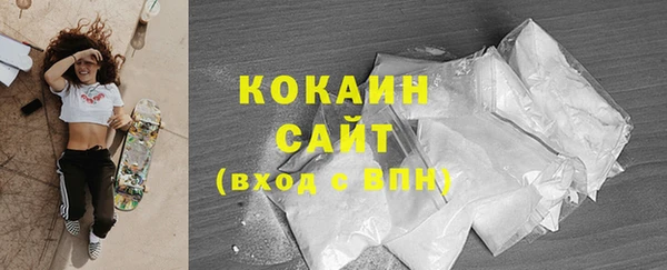 a pvp Новозыбков