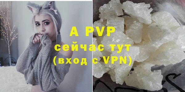 круглые Новодвинск