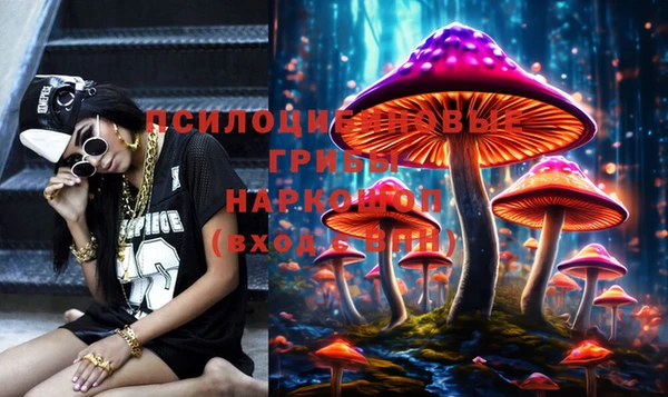 круглые Новодвинск