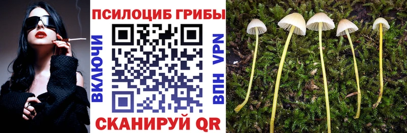 Галлюциногенные грибы мухоморы Купить где Апатиты